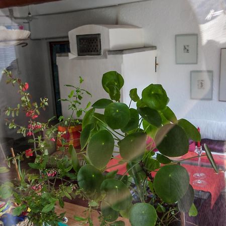 Bed And Breakfast Da Toldo Russo Exterior foto