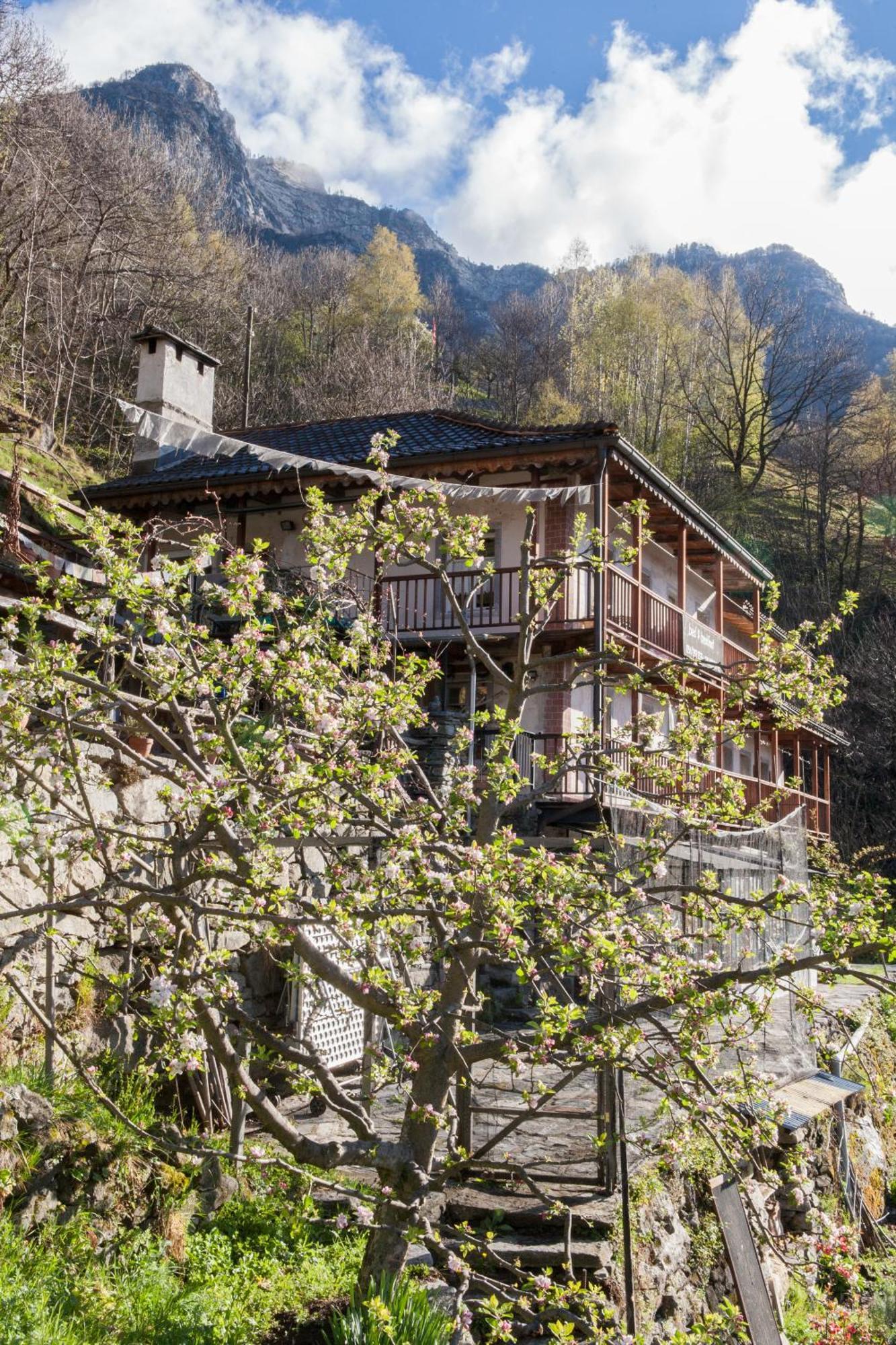 Bed And Breakfast Da Toldo Russo Exterior foto